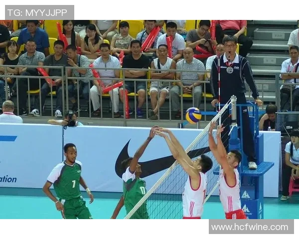 武汉排球队意识表现分析：数据揭示团队协作与竞技状态的关系